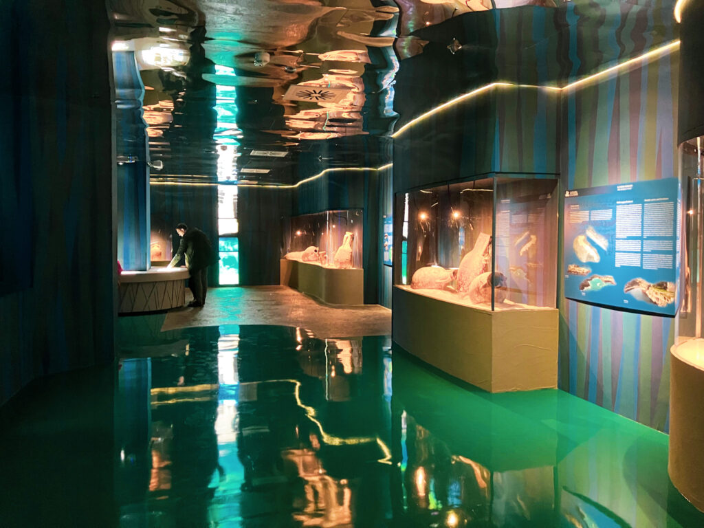 Mostra Egnazia e il Mare a Fasano