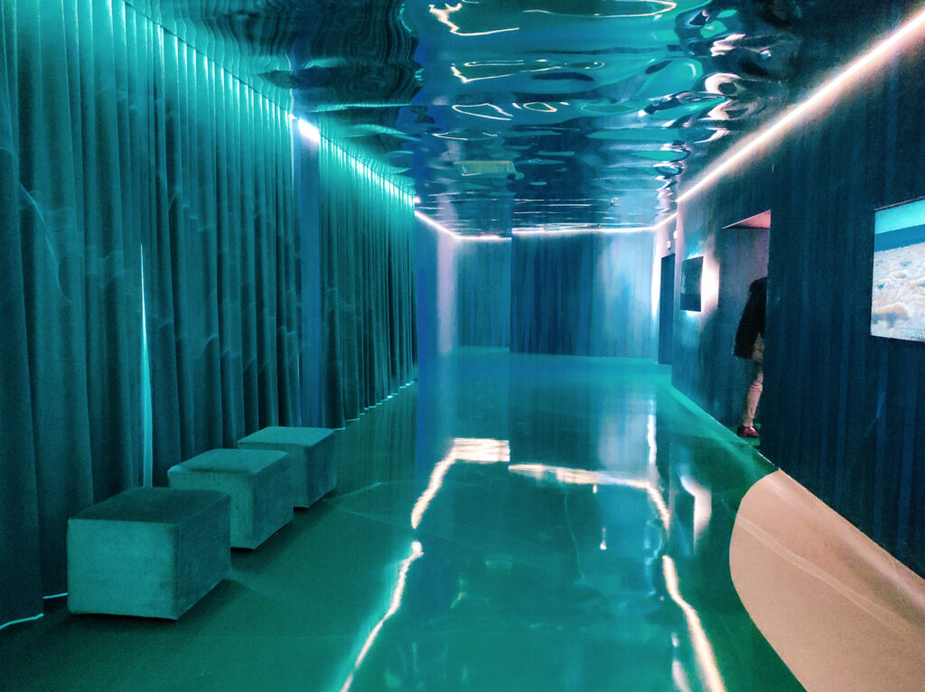 Ingresso Mostra Egnazia e il Mare