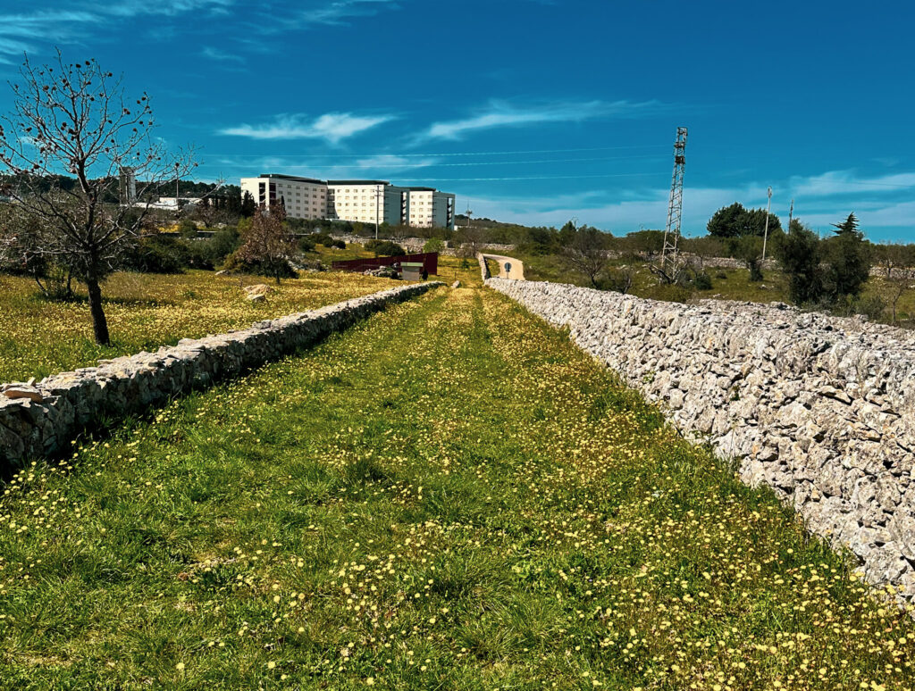 Ingresso Grotta di Curtomartino
