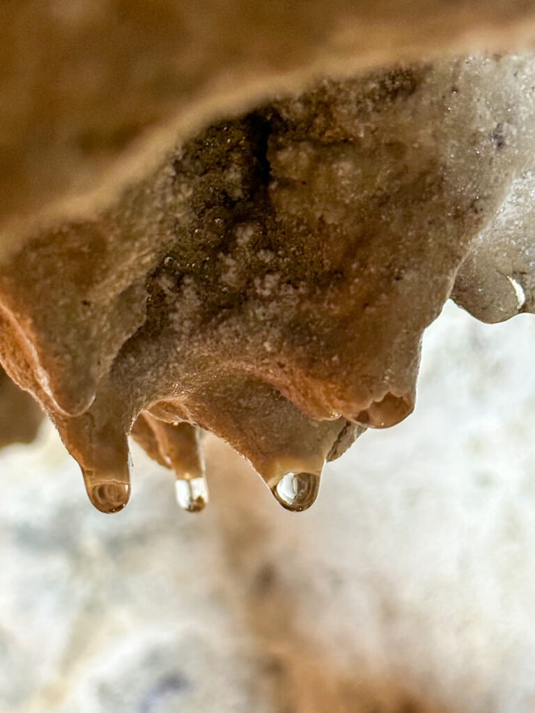 Concrezione nella Grotta di Curtomartino
