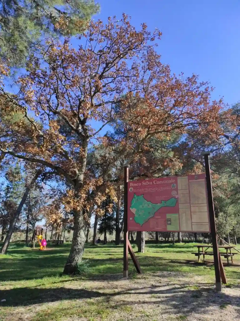 Bosco Selva ad Alberobello